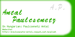 antal paulcsenetz business card